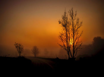 Silhouette bare tree on field against orange sky