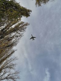 Low angle view of airplane flying in sky