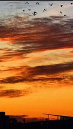 Silhouette birds flying over sea against orange sky