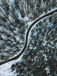 Aerial view of road amidst snow covered forest during winter