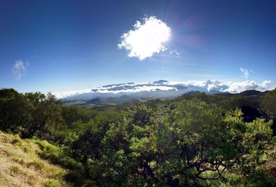 Scenic view of bright sun shining on sunny day