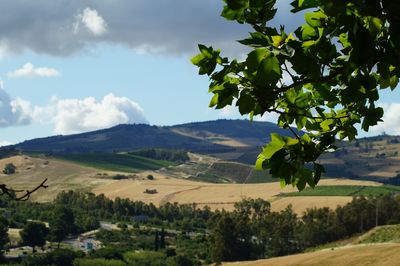 Scenic view of landscape against sky