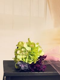 Close-up of flowers
