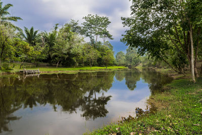 Scenic view of lake by trees in forest against sky