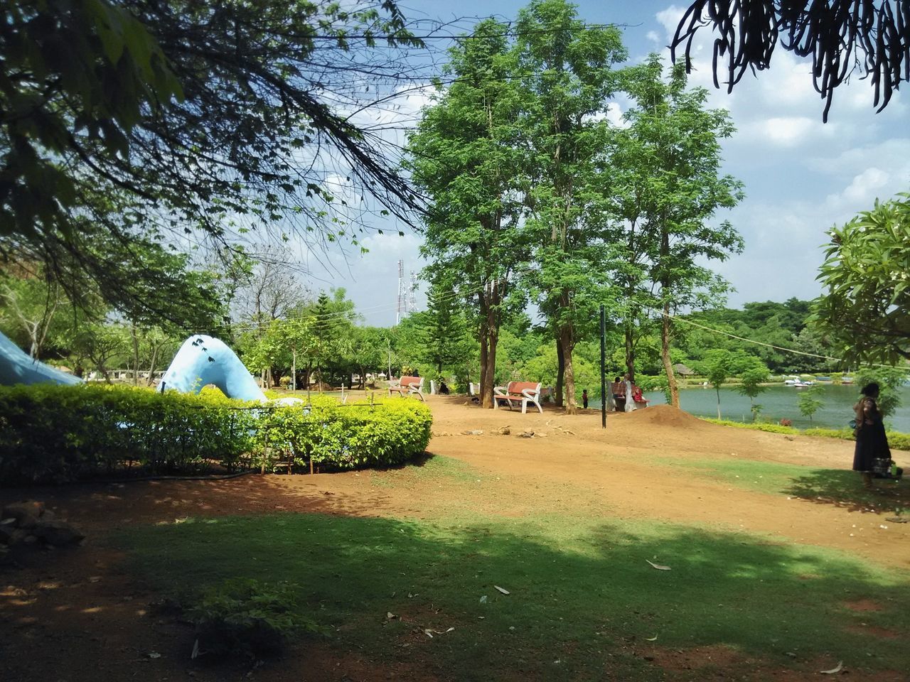 STATUE OF MAN AND DOG AGAINST TREES