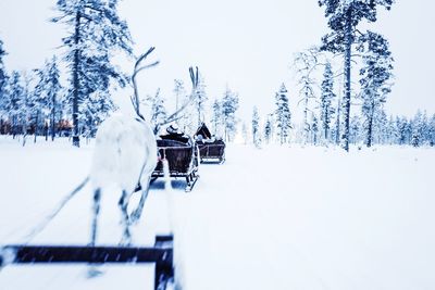 Snow covered land and trees on field against sky