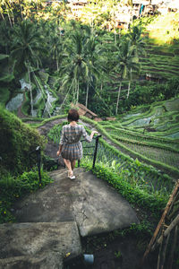 Rear view of woman walking on farm