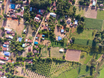 High angle view of trees and houses in village