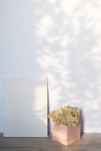 Close-up of potted plant on table against wall