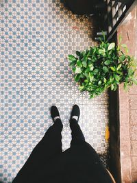 Low section of man standing on tiled floor