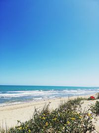 Scenic view of sea against clear blue sky