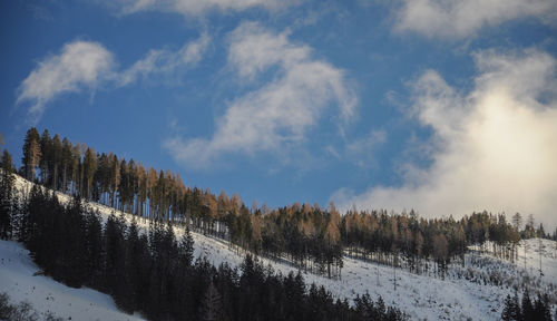 Panoramic view of snow covered land against sky