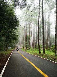 Road amidst trees in forest