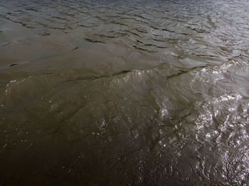 High angle view of wet shore