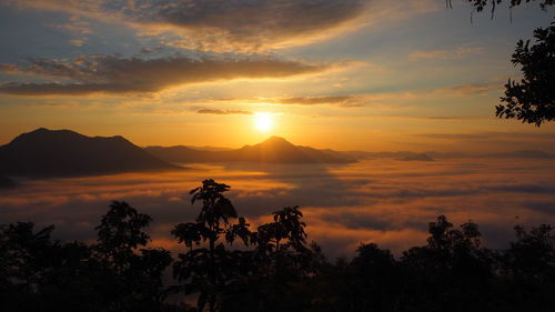 Silhouette trees against sky during sunset