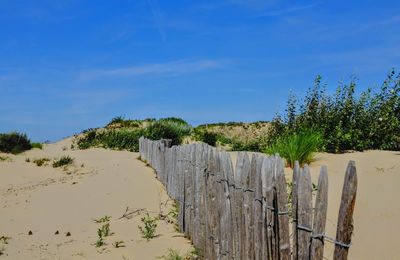 Wooden fence on beach against sky