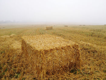 Scenic view of field against sky during foggy weather