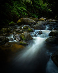 Stream flowing through rocks in forest