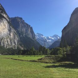 Scenic view of field against clear sky