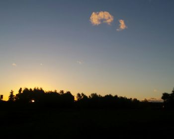 High section of silhouette trees against sunset