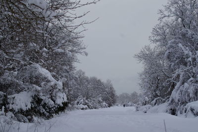 Snow covered land and trees against sky