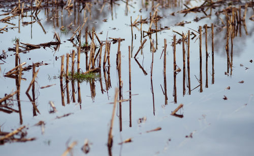 Close-up of reflections in water