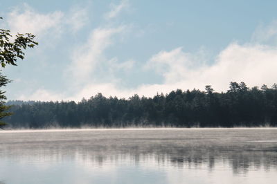 Scenic view of lake in forest against sky