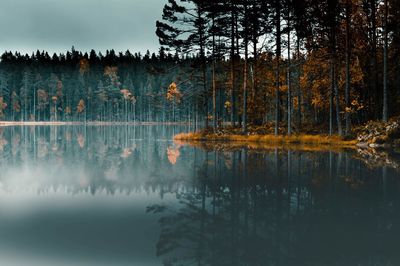 Scenic view of lake in forest against sky