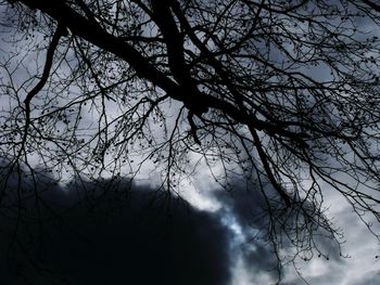 Low angle view of silhouette bare tree against sky