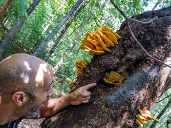 Man holding tree trunk in forest