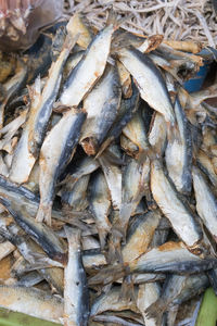 Close-up of dead fish in market
