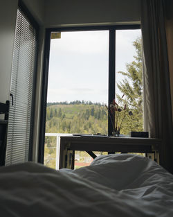 window
