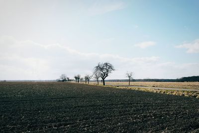Scenic view of field against cloudy sky