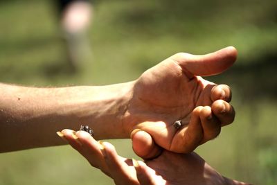 Close-up of hands