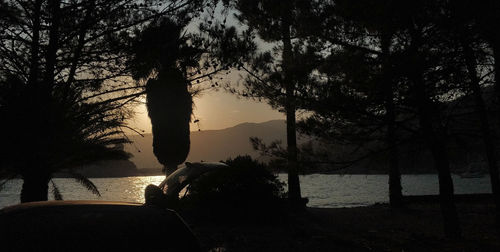 Silhouette trees on beach against sky