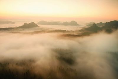 Misty melancholic morning. view into  valley full of fresh spring mist. fall land after rainy night