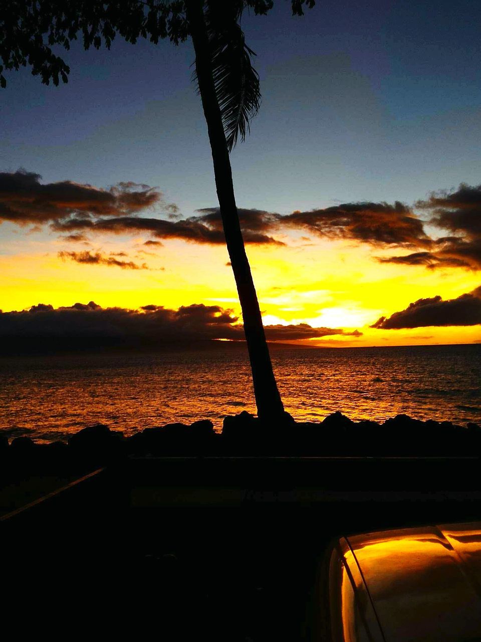 SILHOUETTE TREE BY SEA AGAINST ORANGE SKY