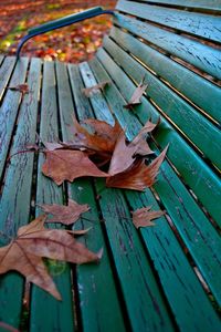 High angle view of dry leaves on wooden bench