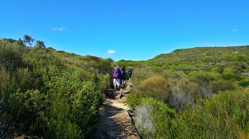 Rear view of people walking on mountain against sky