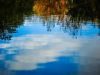 Reflection of trees in water