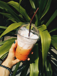 Close-up of hand holding thai tea