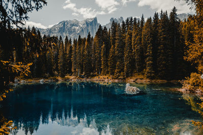 Scenic view of lake by trees in forest against sky