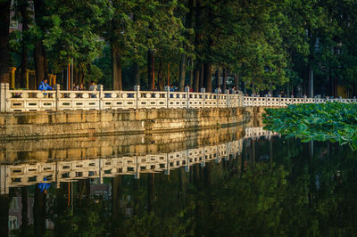 View of bridge over lake against trees