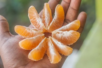 Close-up of hand holding orange pieces