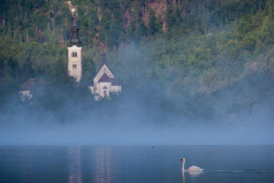 Building by lake during foggy weather