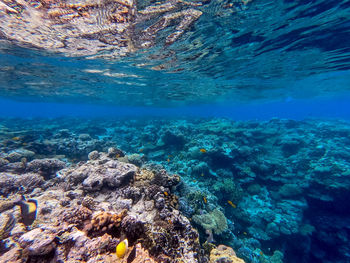 High angle view of sea against sky