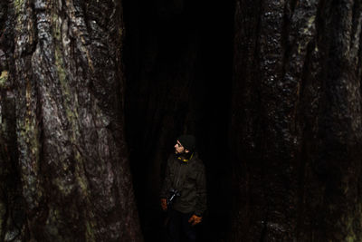 High angle of male tourist standing between trunks of huge trees in wet woods on overcast day