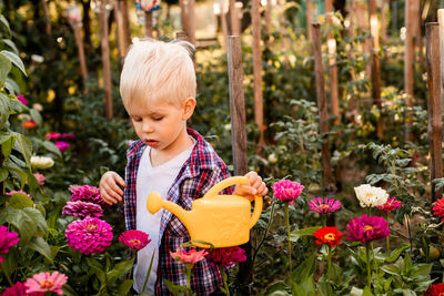 Cute boy holding flowering plants