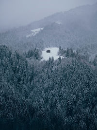 High angle view of forest against sky during winter