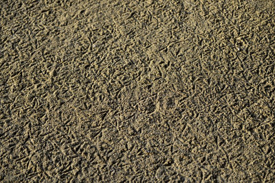Full frame shot of sand
